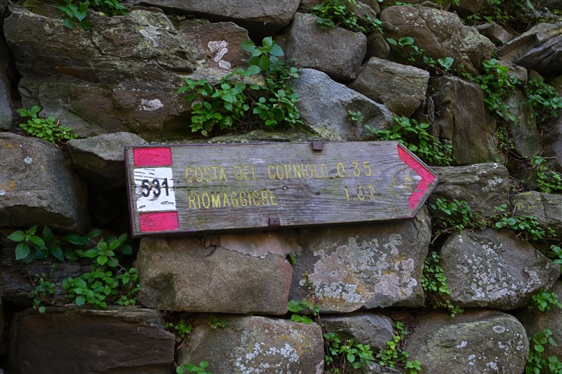 Sentier piétonnier Manarola Riomaggiore | Jupette et Salopette